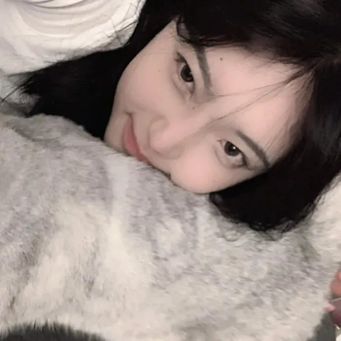科搜研之女第23季