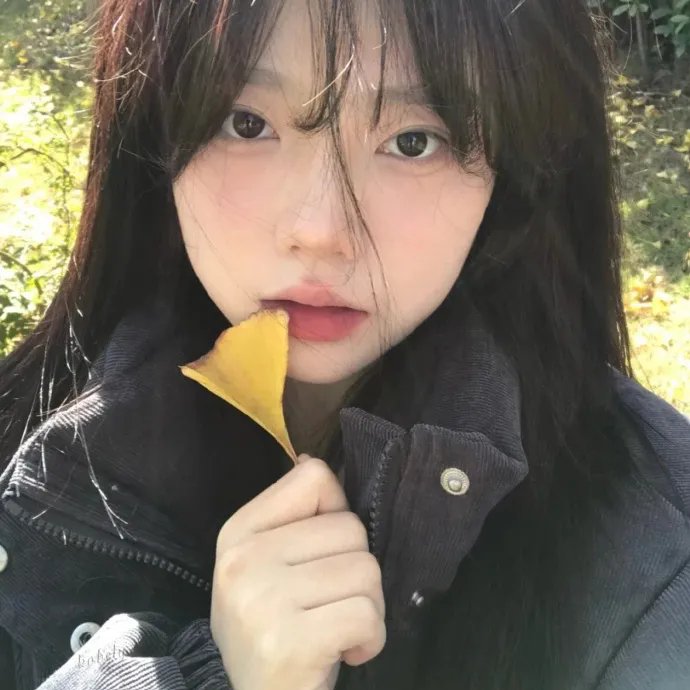 宗方姐妹